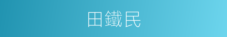 田鐵民的同義詞