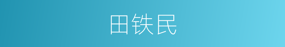 田铁民的同义词