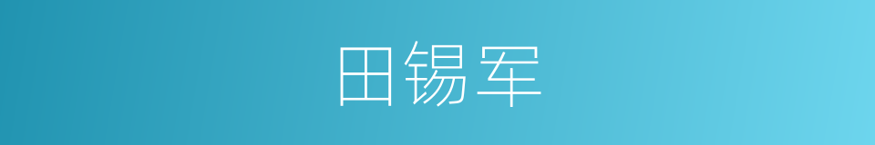 田锡军的同义词