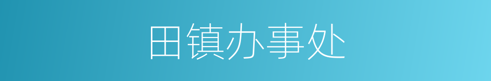 田镇办事处的同义词