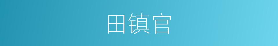 田镇官的同义词