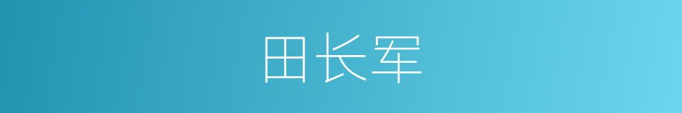 田长军的同义词