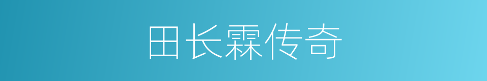 田长霖传奇的同义词