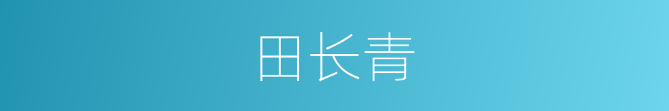 田长青的同义词