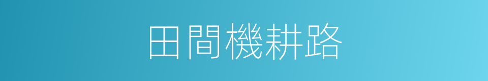 田間機耕路的同義詞