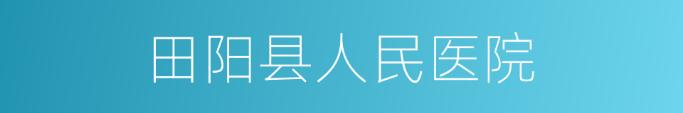 田阳县人民医院的同义词