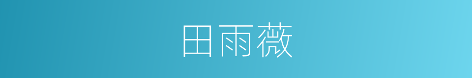 田雨薇的同义词
