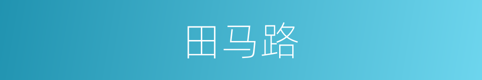 田马路的同义词