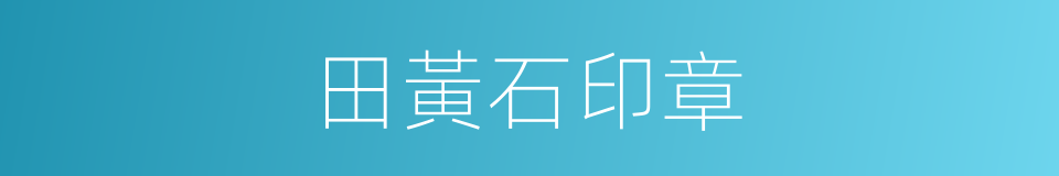 田黃石印章的同義詞
