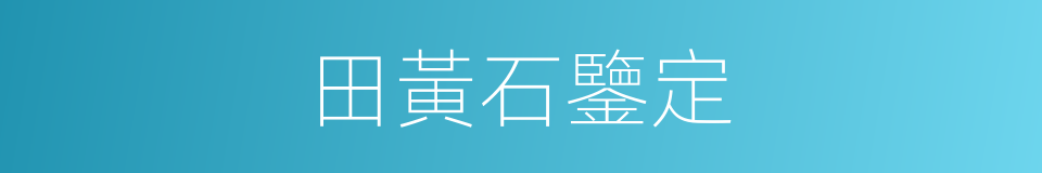 田黃石鑒定的同義詞