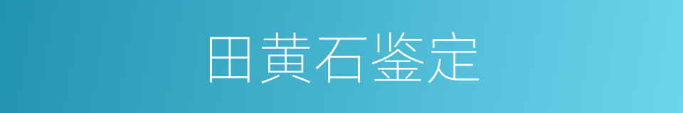 田黄石鉴定的同义词