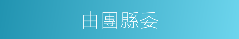 由團縣委的同義詞