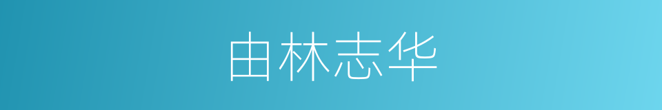 由林志华的同义词