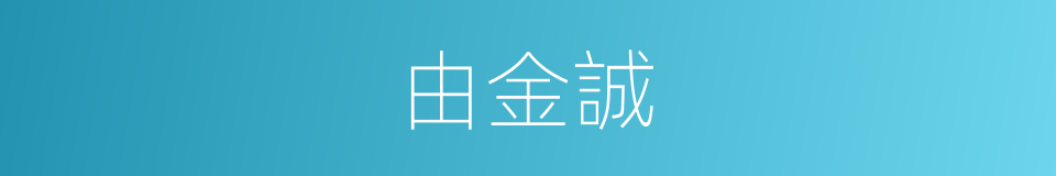 由金誠的同義詞