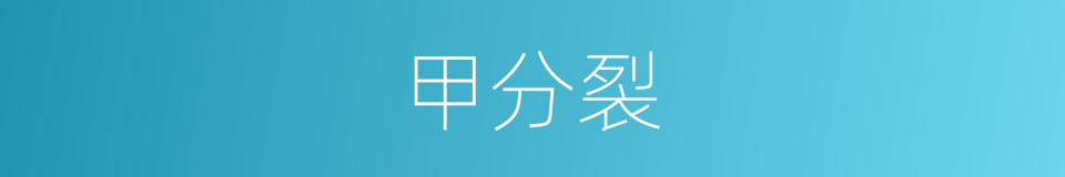 甲分裂的同义词