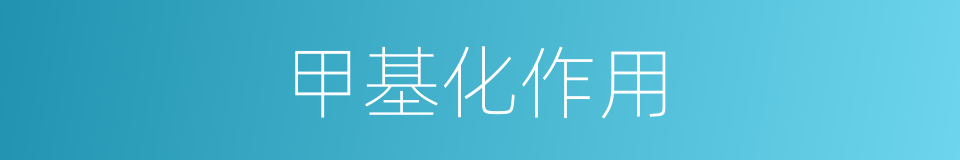 甲基化作用的同义词