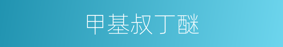 甲基叔丁醚的同义词