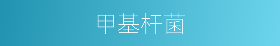 甲基杆菌的同义词