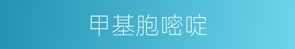 甲基胞嘧啶的同义词