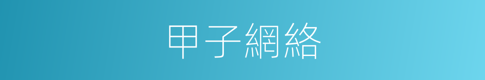 甲子網絡的同義詞