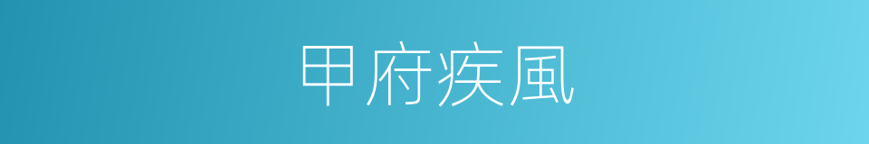 甲府疾風的同義詞