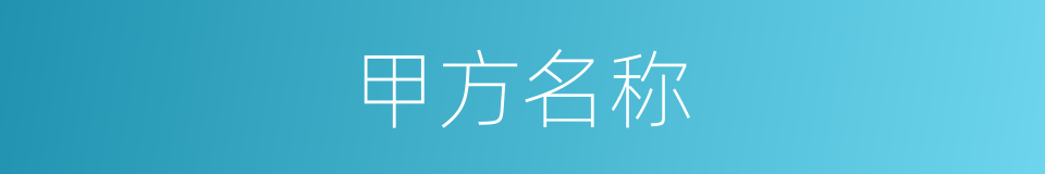 甲方名称的同义词
