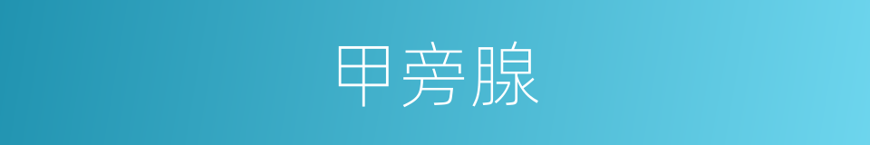 甲旁腺的同义词