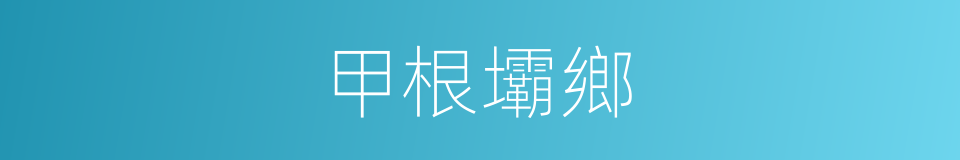 甲根壩鄉的同義詞