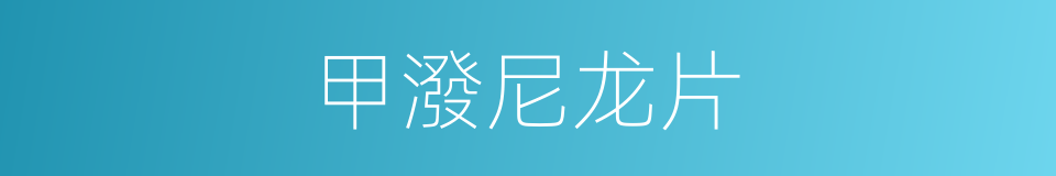 甲潑尼龙片的同義詞