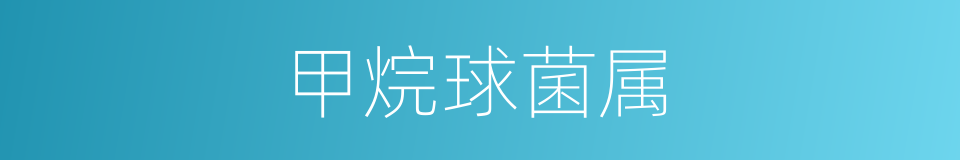 甲烷球菌属的同义词
