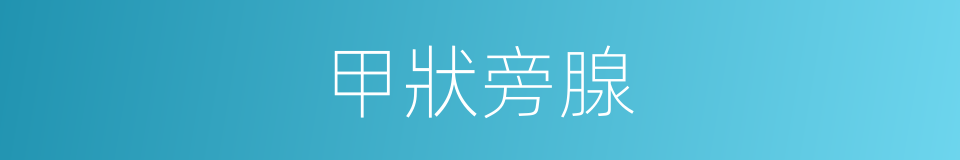 甲狀旁腺的同義詞