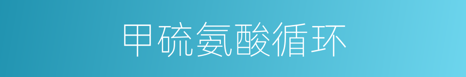 甲硫氨酸循环的同义词
