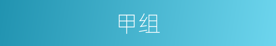 甲组的意思
