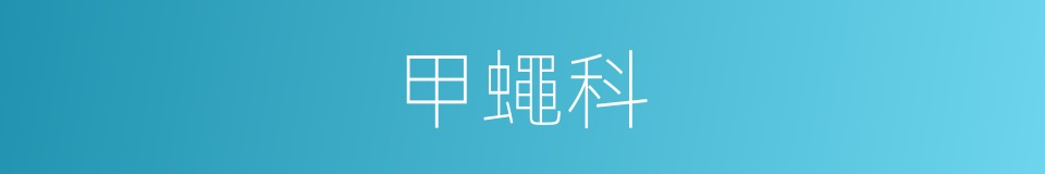 甲蠅科的同義詞