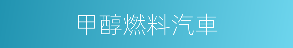 甲醇燃料汽車的同義詞
