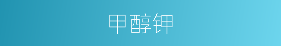 甲醇钾的同义词