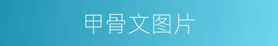 甲骨文图片的同义词