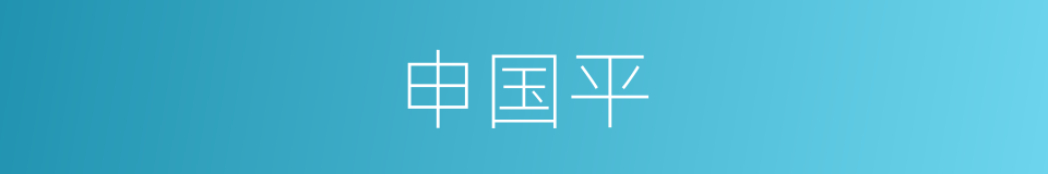 申国平的同义词