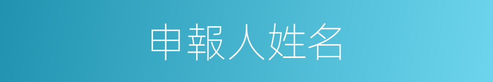 申報人姓名的同義詞