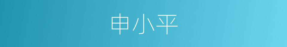 申小平的同义词
