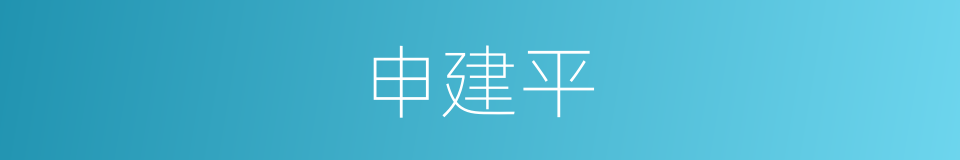 申建平的同义词