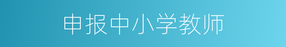 申报中小学教师的同义词