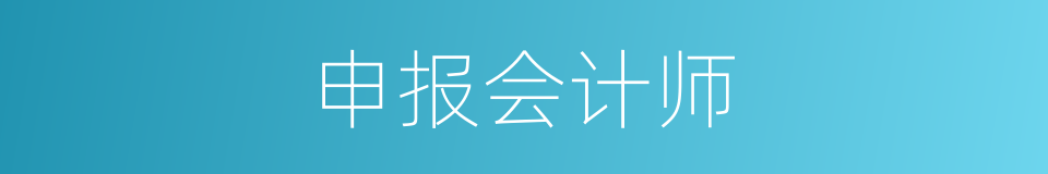 申报会计师的同义词