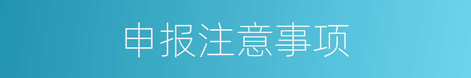 申报注意事项的同义词
