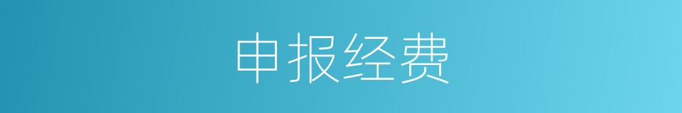 申报经费的同义词