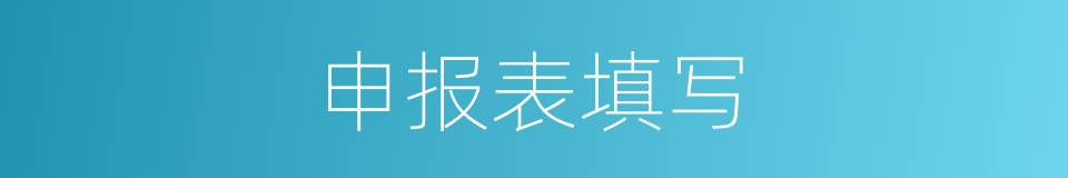 申报表填写的同义词