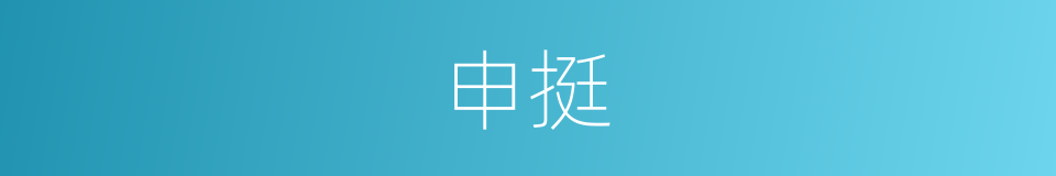 申挺的意思