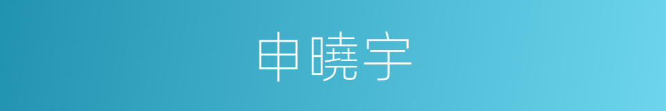申曉宇的同義詞