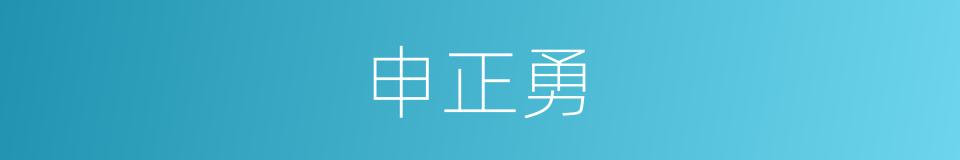 申正勇的同义词