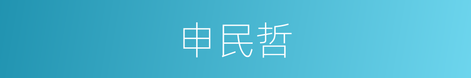 申民哲的同义词